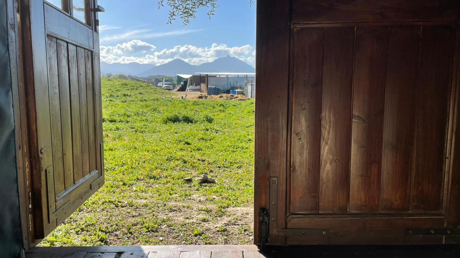 Cabana Rustica En Un Rancho Con Caballos, Prado Del Rey, Andalucia Exterior foto